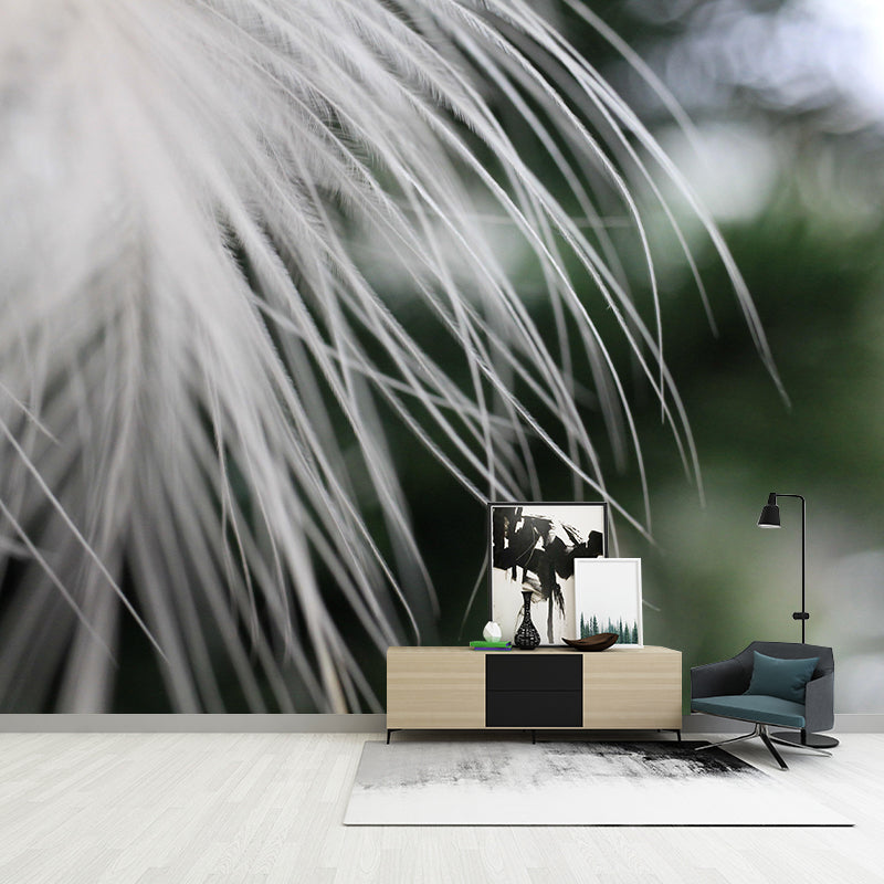 Horizontal Photography Bird Feather Mural Eco-friendly Decorative Wallpaper for Home