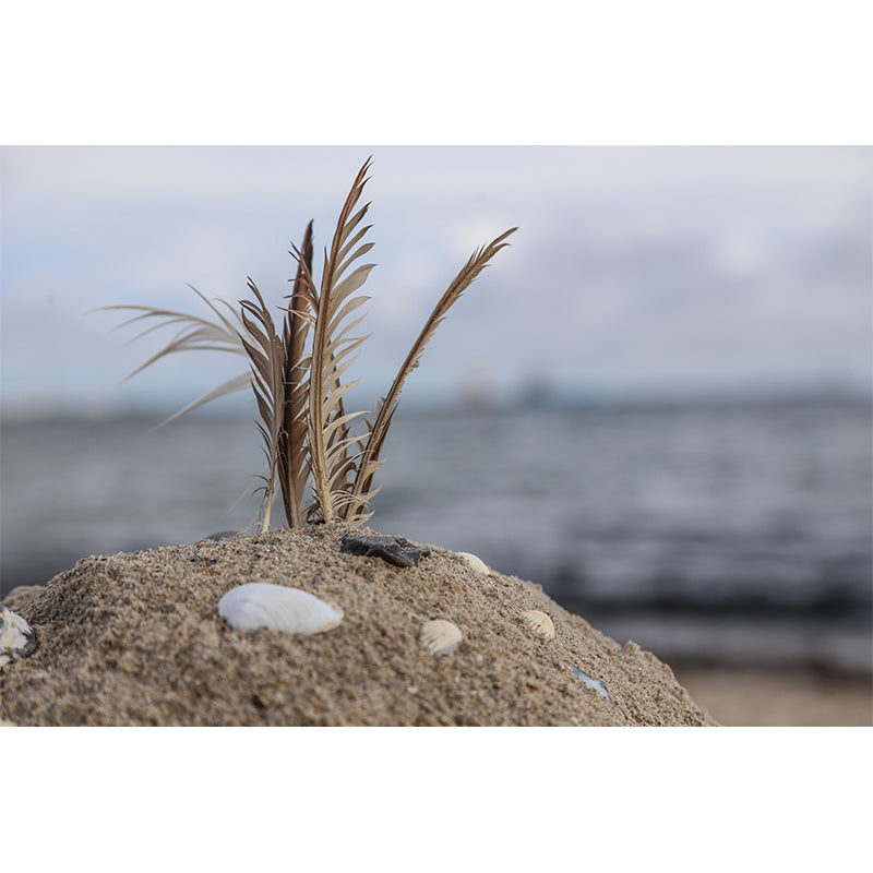 Bedroom Bird Feather Mural Eco-friendly Decorative Wallpaper