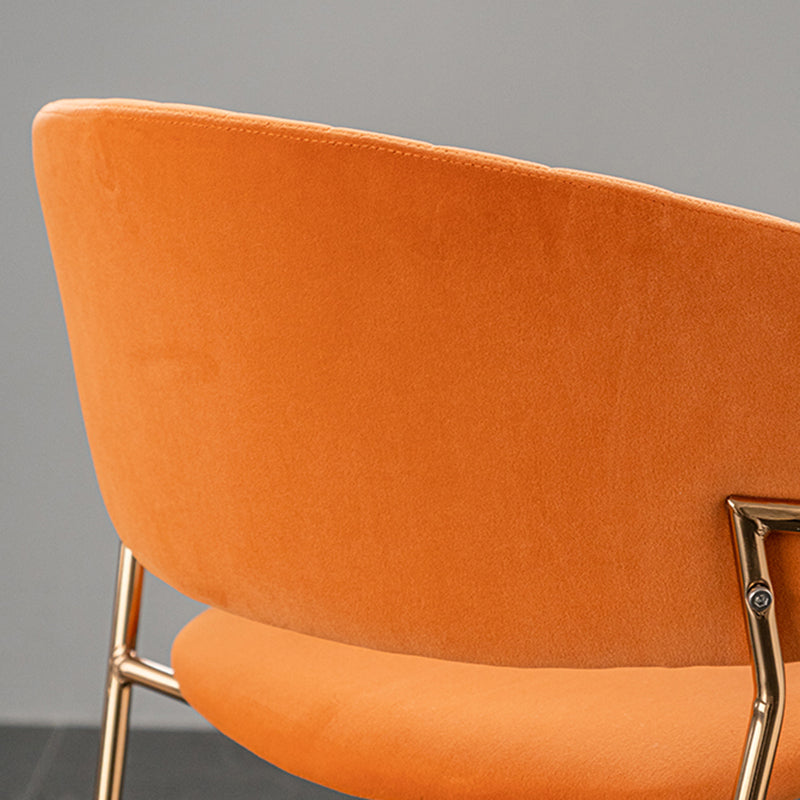 Scandinave Style Open Back Dining Catt Widing Couber Chaises de salle à manger avec des jambes dorées