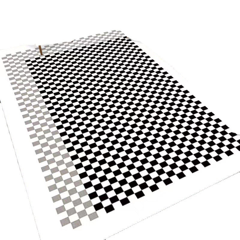 White Graphic Rug Polyester Modern Rug Stain Resistant Rug for Living Room