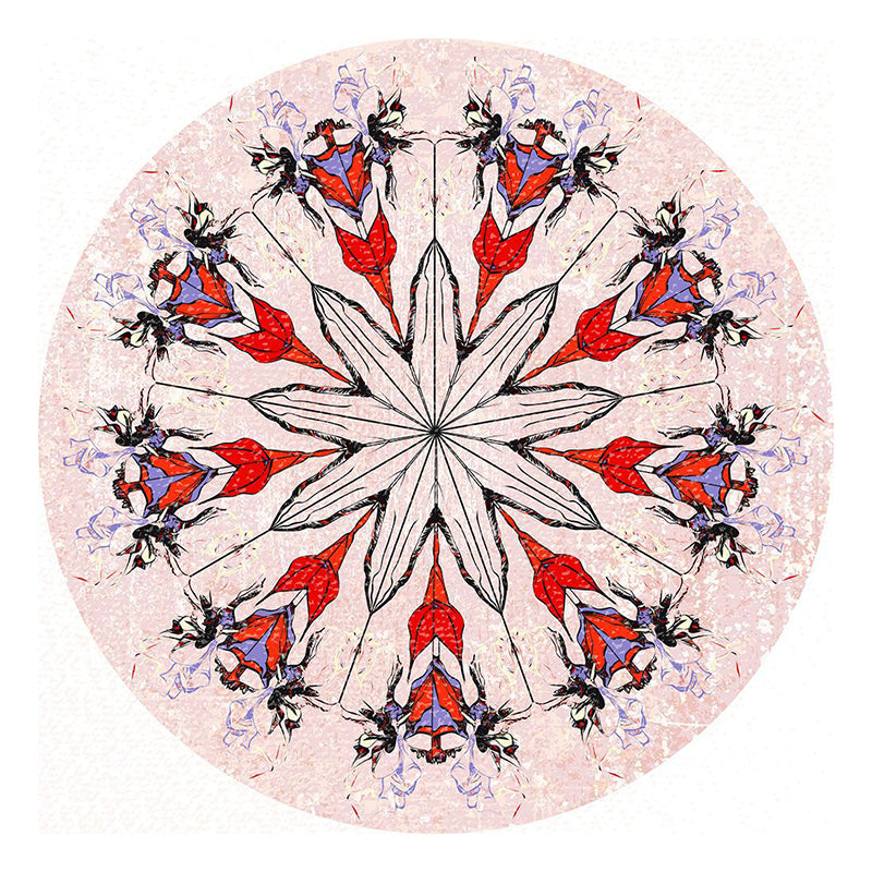 Black Graphic Rug Polyester Bohemian Rug Stain Resistant Rug for Home Decor