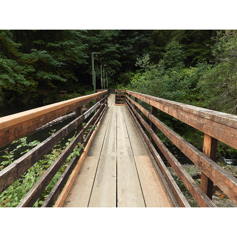 Bridge Scene Environment Friendly Decorative Mural Industrial Space Extension Wall Art