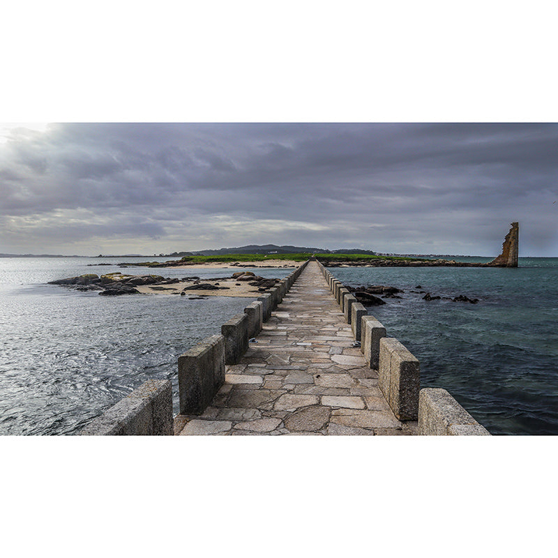 Natural Scene Environment Friendly Mural Industrial Style Space Extension Wall Mural