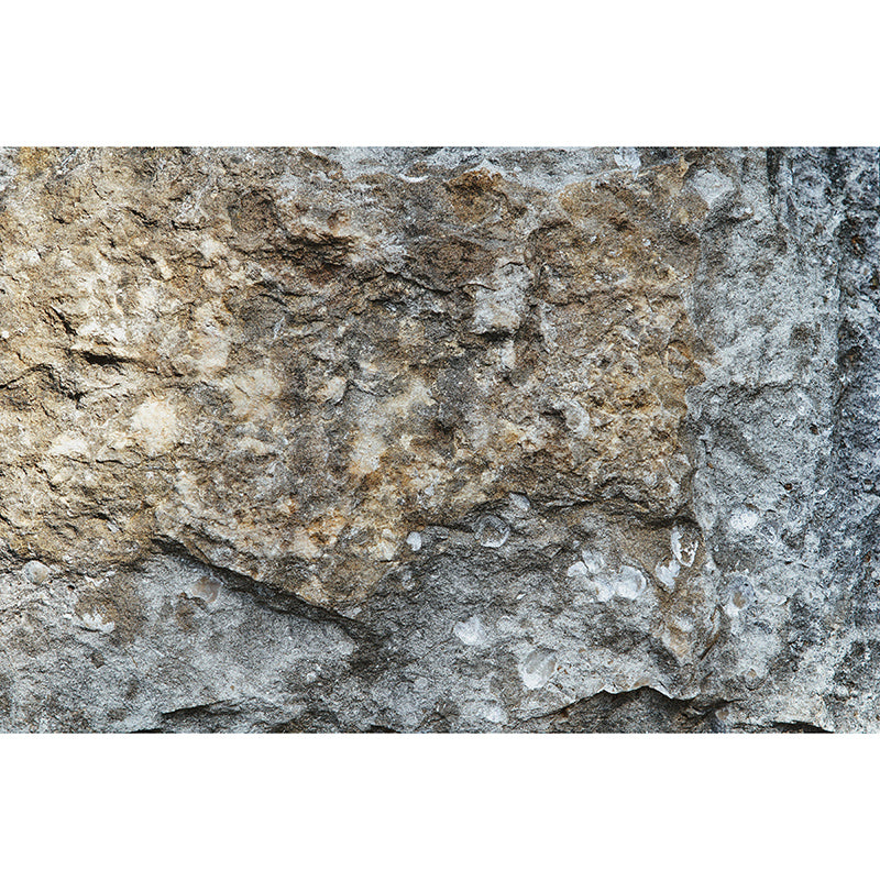 Mildew Resistant Industrial Stone Wall Mural Decorative Wall Covering