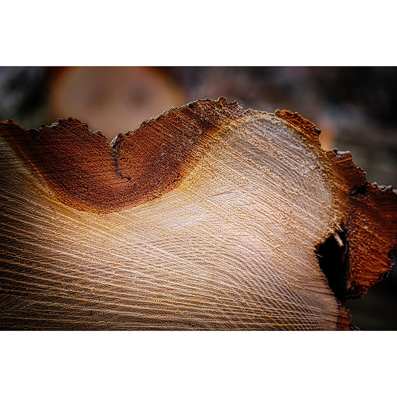 Mural 3D Wood Grain Industrial Style Mural Mildew Resistant Decorative Bedroom Wall Mural