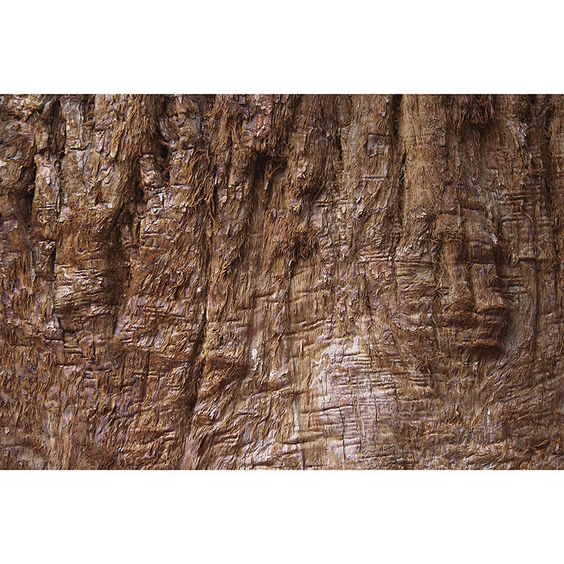 3D Mural Mildew Resistant Wood Grain Mural Industrial Style Decorative Bedrom Mural