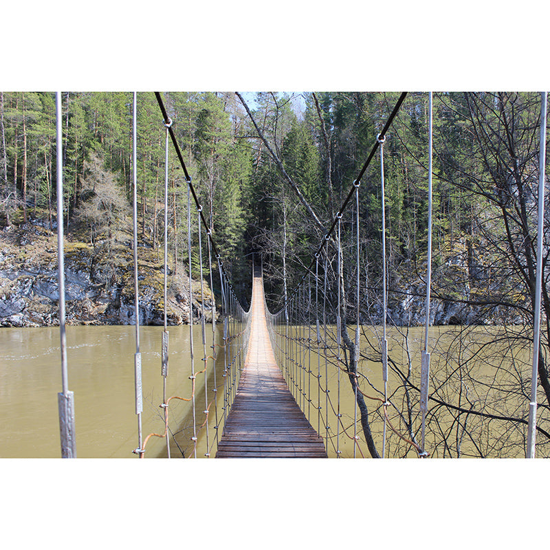 Space Extension Mural Mildew Resistant Industrial Decorative Wall Covering