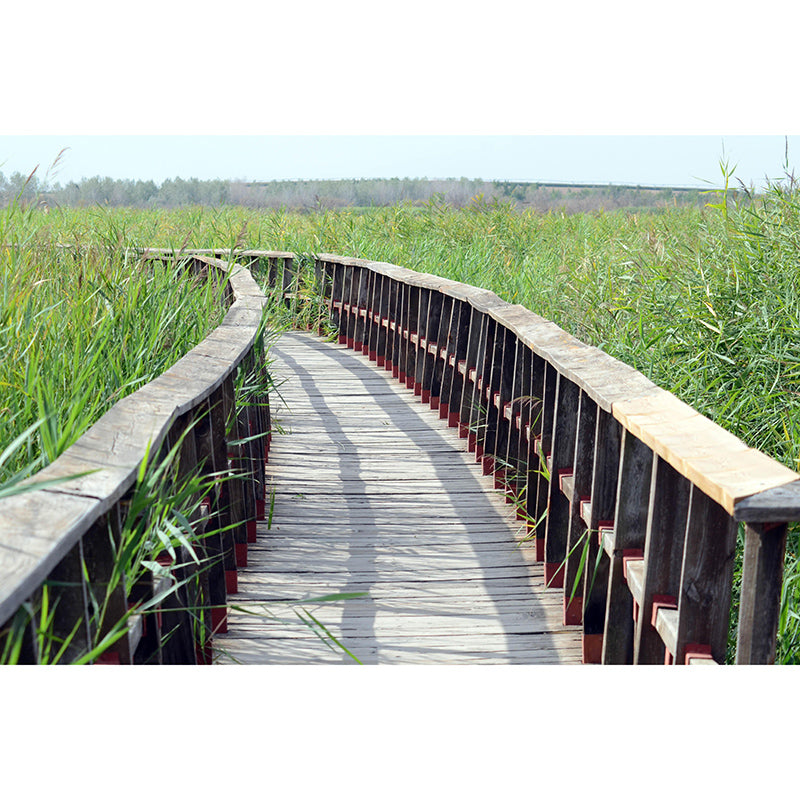 Wooden Bridge Space Extension Mural Wallpaper Mildew Resistant Decorative Wall Covering