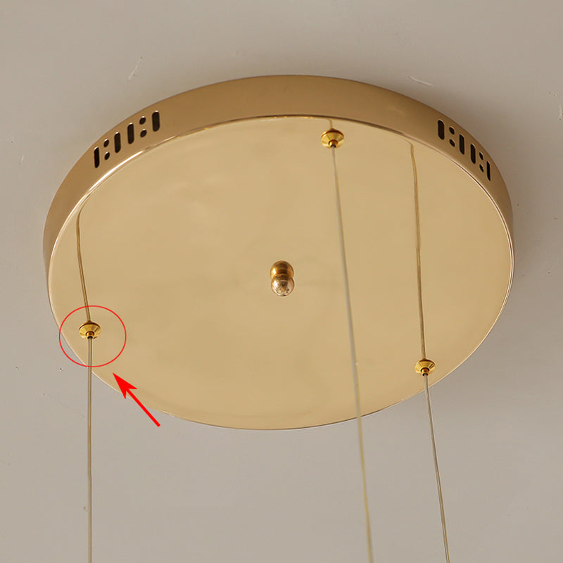 Simplicité moderne Crystal Hanging Living Room LED Round Shape Pendant lampe Paxage