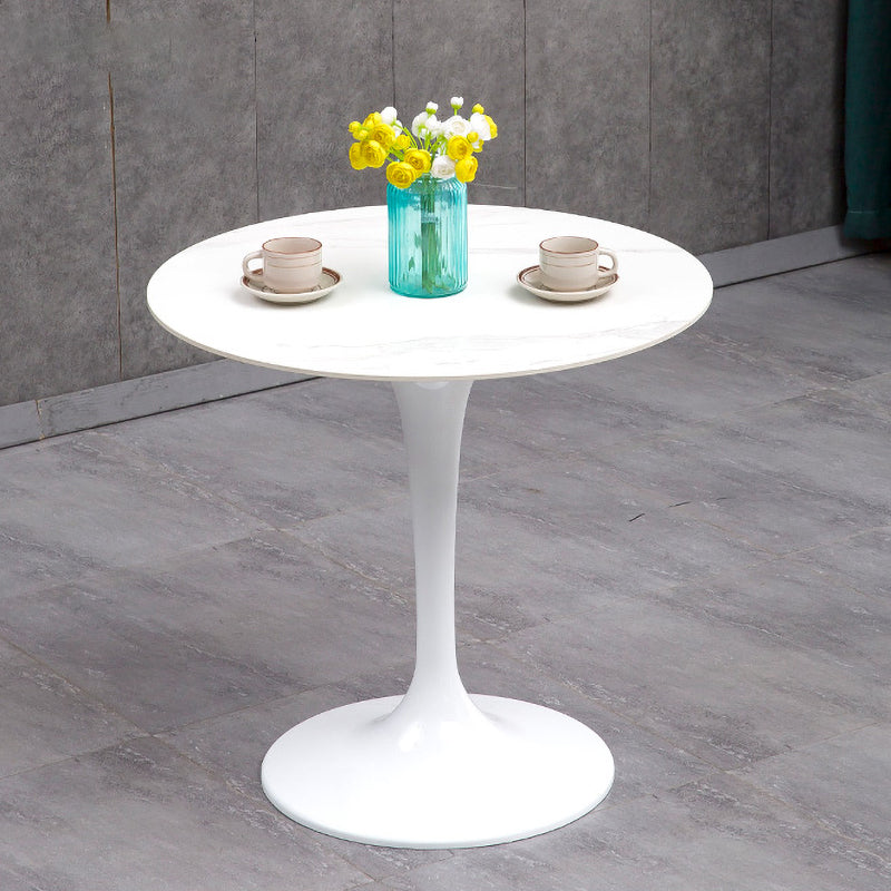 Modern Sintered Stone Dining Room Set 1/2/3/4/5 Pieces Dining Set /Separate Items