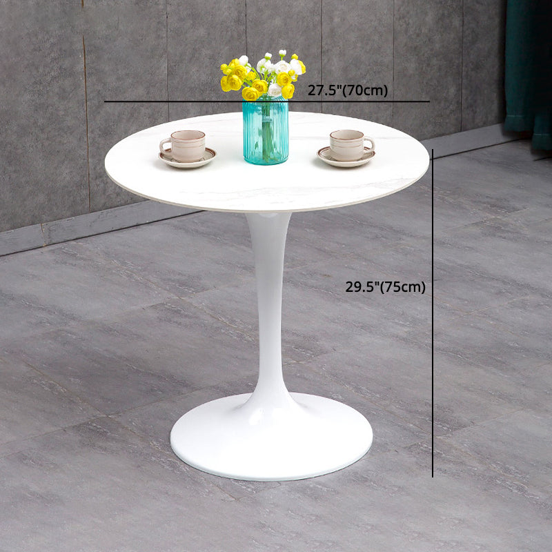 Modern Sintered Stone Dining Room Set 1/2/3/4/5 Pieces Dining Set /Separate Items