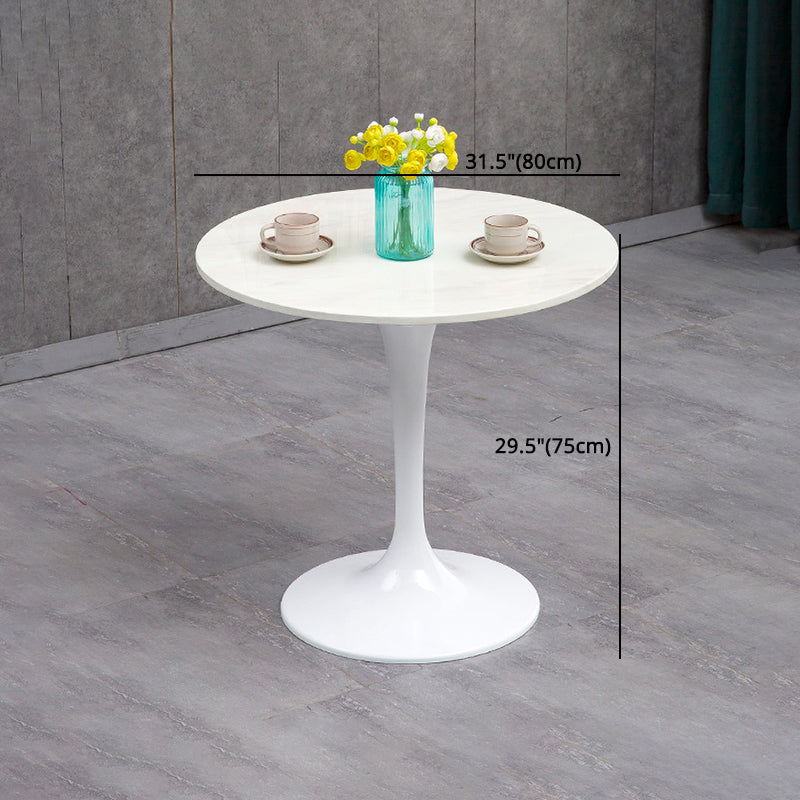 Modern Sintered Stone Dining Room Set 1/2/3/4/5 Pieces Dining Set /Separate Items