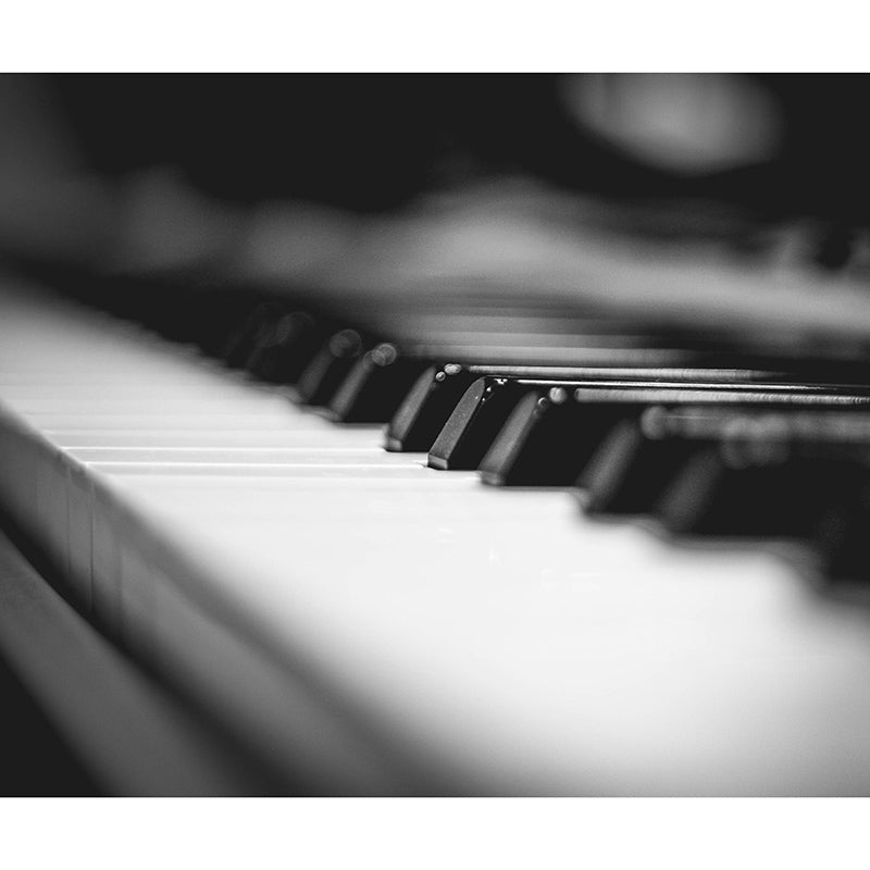 Piano Key Horizontal Photography Mural Decorative Eco-friendly for Bedroom