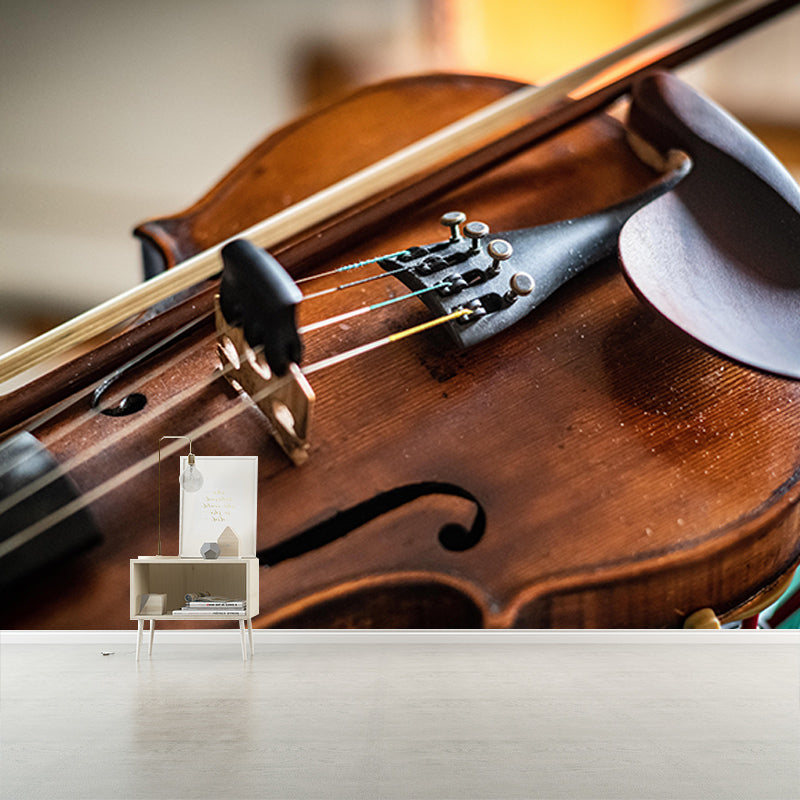 Violin Music Horizontal Photography Mural Decorative Eco-friendly for Sitting Room