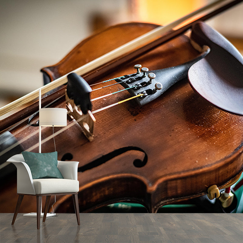 Violin Music Horizontal Photography Mural Decorative Eco-friendly for Sitting Room