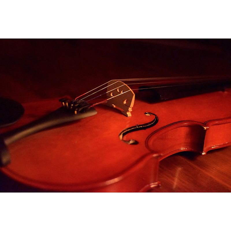 Violin Key Horizontal Photography Guitar Mural Decorative Eco-friendly for Room