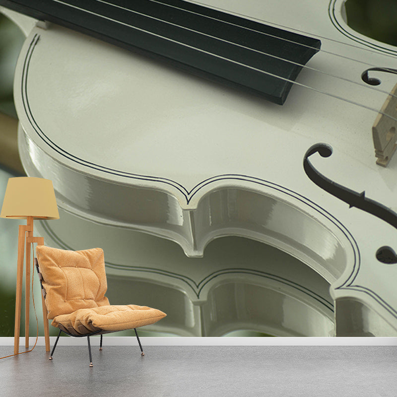 Violin Music Horizontal Photography Guitar Mural Decorative Eco-friendly for Wall Decor