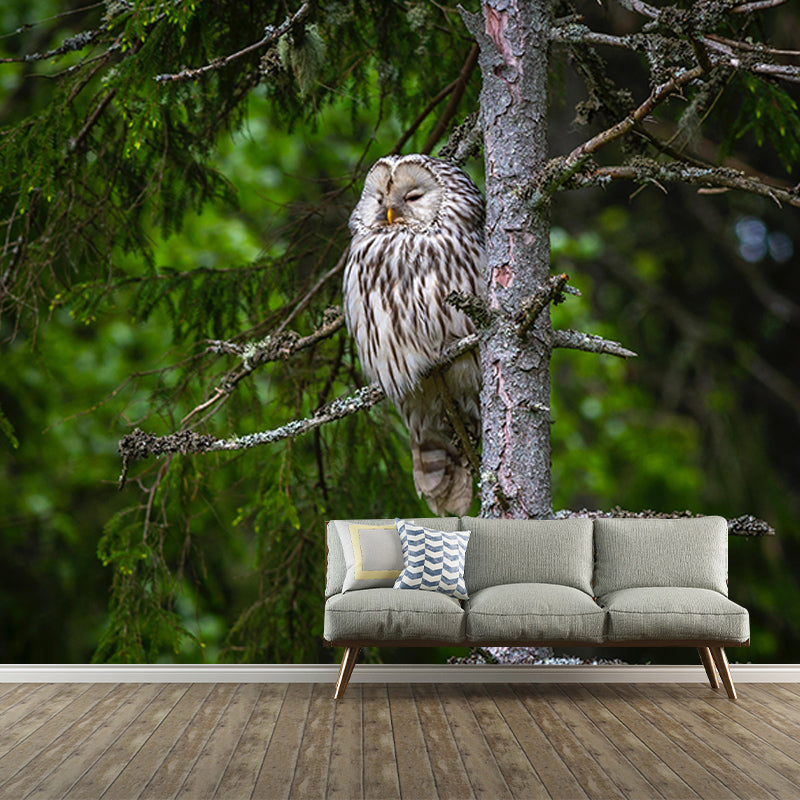 Contemporary Style Wild Animal Mural Mildew Resistant for Bedroom