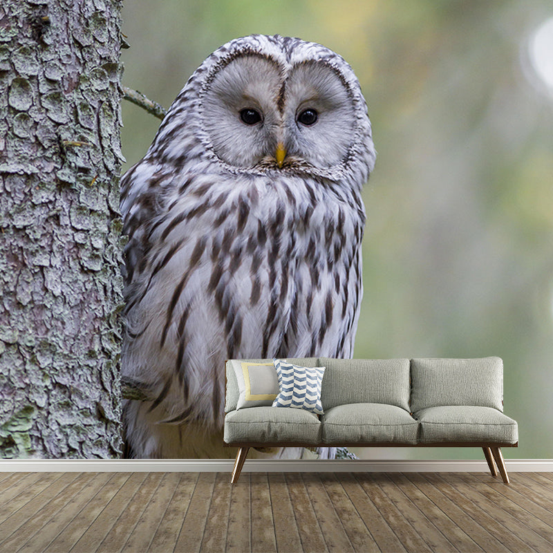 Wild Animal Contemporary Style Mural Mildew Resistant Bedroom Wall Art