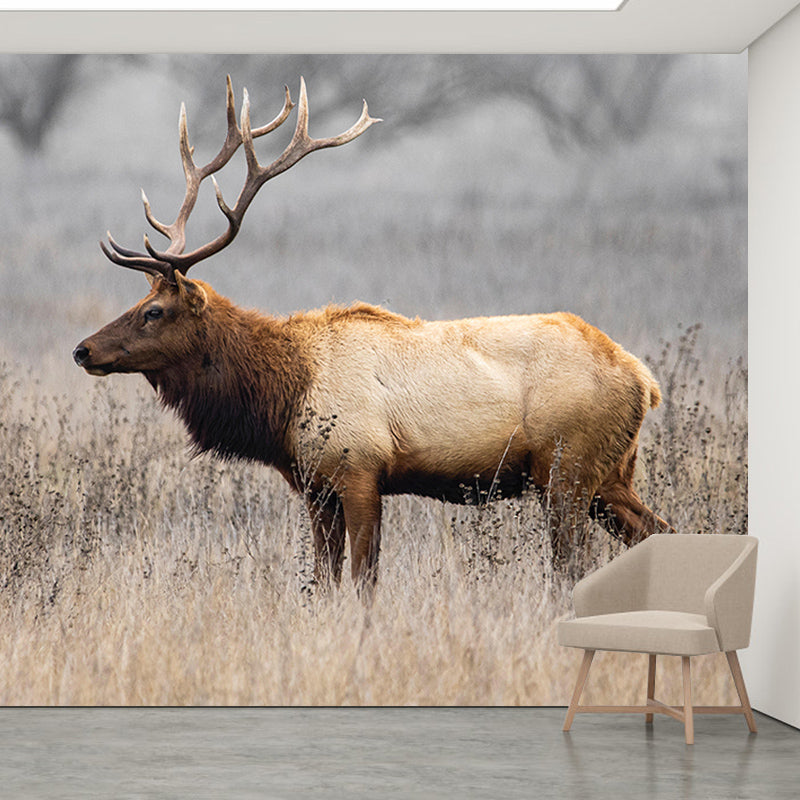 Mildew Contemporary Style Wild Animal Mural Wallpaper Resistant Wall Art