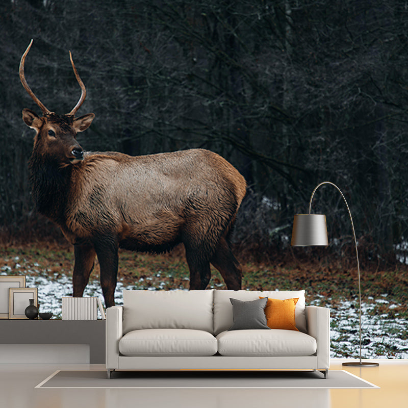 3D Mural Contemporary Style Wild Animal Mural Mildew Resistant Wall Art