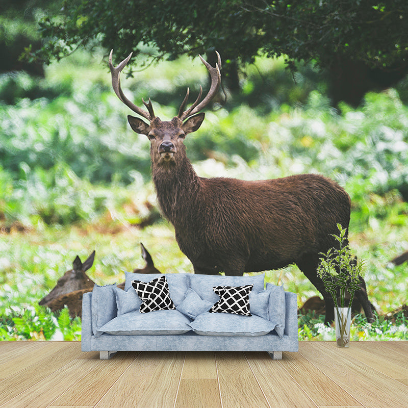 3D Mural Contemporary Style Wild Animal Mural Mildew Resistant Wall Art