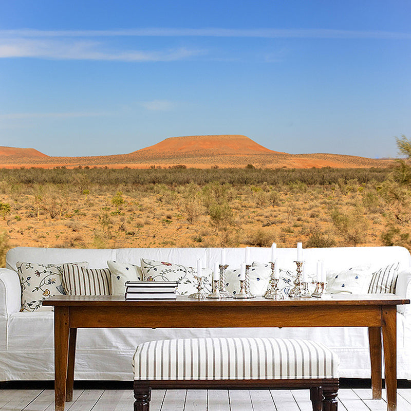 Desert Natural Contemporary Style Desert Wall Mural Mildew Resistant for Room