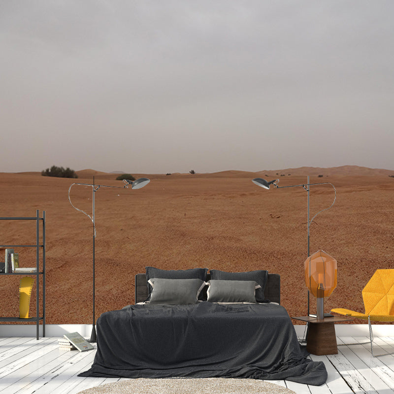 Contemporary Style Desert Wall Mural Mildew Resistant Wall Decor