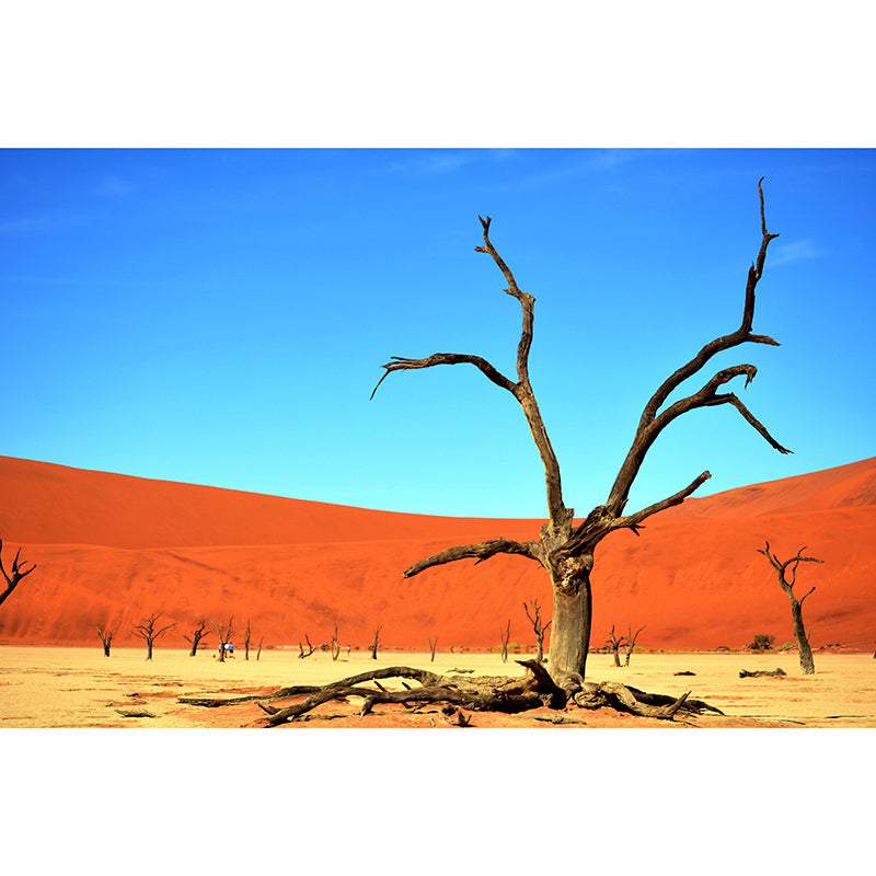 Desert Scene Contemporary Style Desert Wall Mural Mildew Resistant Wall Art