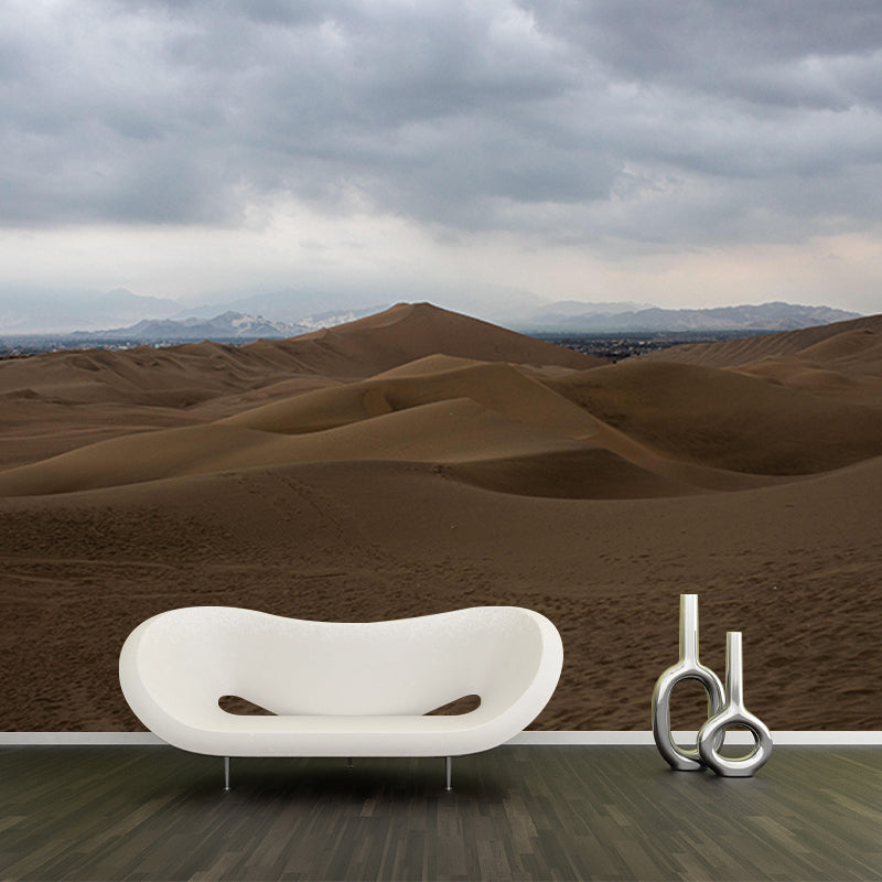Desert Scene Contemporary Style Desert Wall Mural Mildew Resistant Wall Art