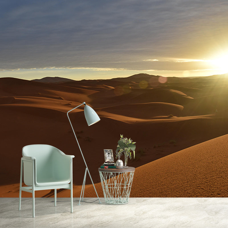 Natural Scene Contemporary Style Desert Wall Mural Mildew Resistant Wall Covering