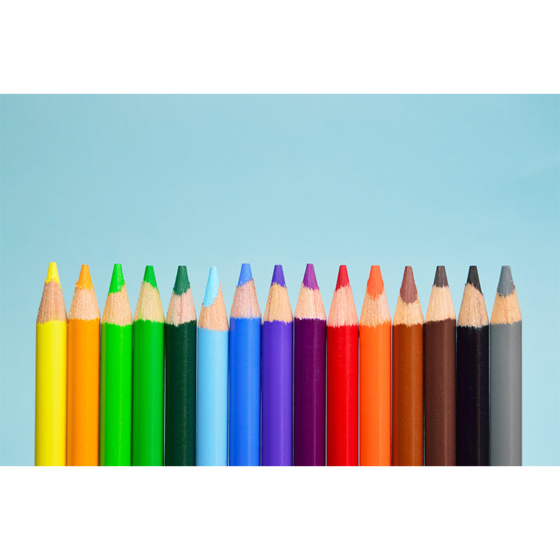 Color Pencil Mildew Resistant Personal Hobby Mural Drawing Atelier Wall Art