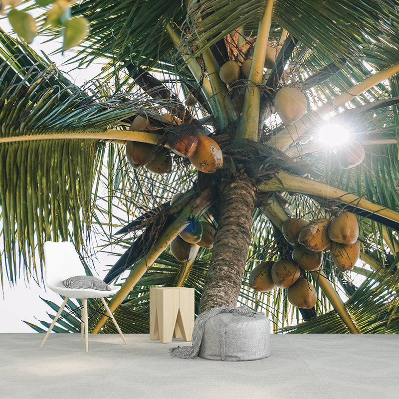 Mildew Resistant Tropical Palm Mural Wallpaper Photography Wall Covering