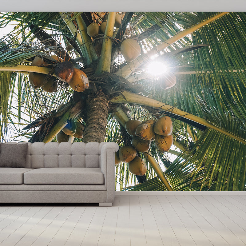 Mildew Resistant Tropical Palm Mural Wallpaper Photography Wall Covering