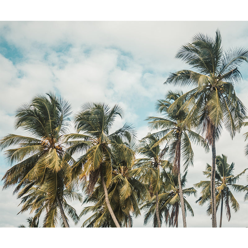 Waterproof Tropical Palm Mural Wallpaper Photography Wall Art