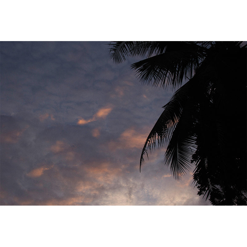 Tropical Palm Mildew Resistant Mural Decorative Photography Wall Covering