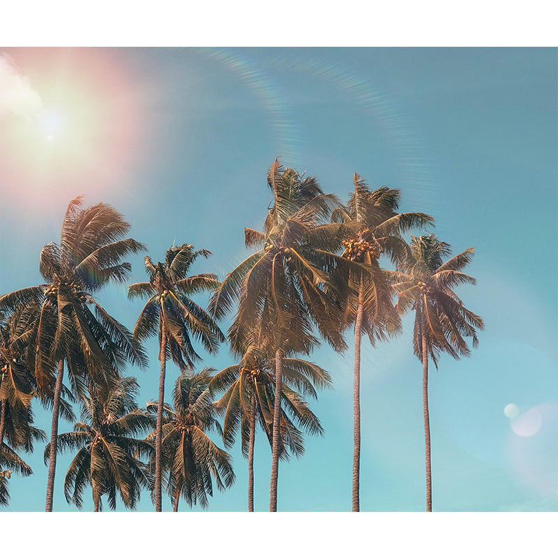 Holiday Eco-friendly Tropical Palm Mural Wallpaper Decorative Photography Wall Art