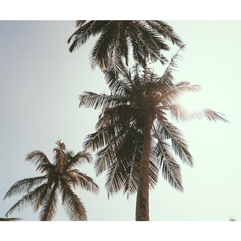 Tropical Scene Environmental Tropical Palm Mural Decorative Photography Wall Decor