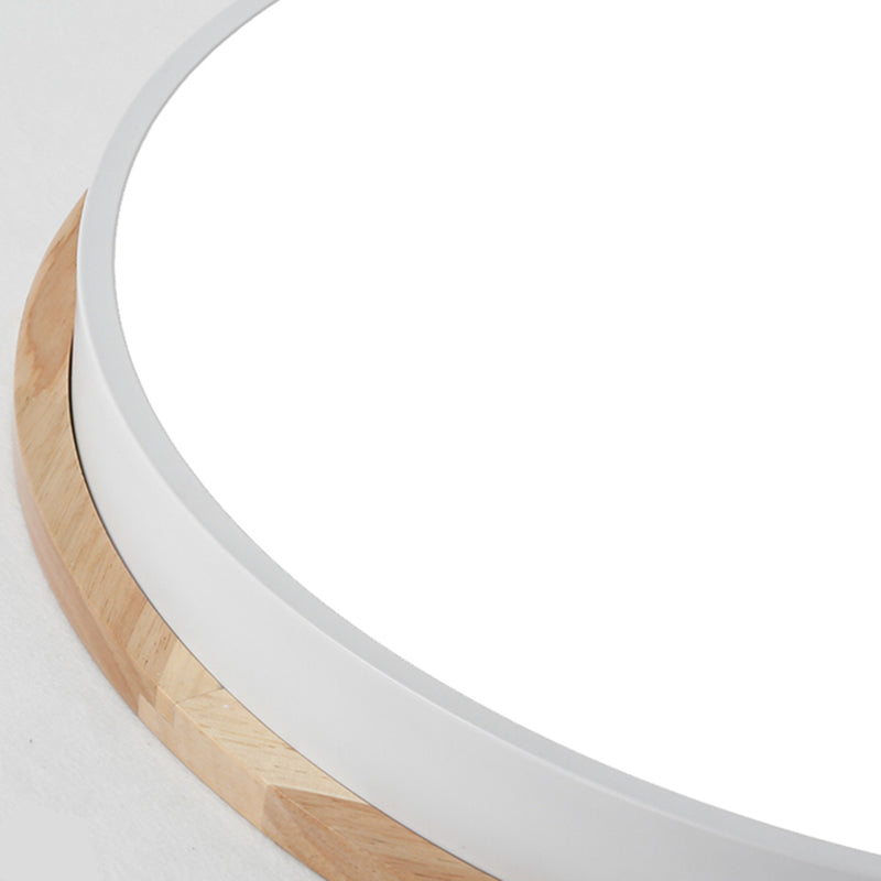 Round Shape LED Ceiling Lamp Macaroon Modern Iron 1 Light Flush Mount for Dining Room