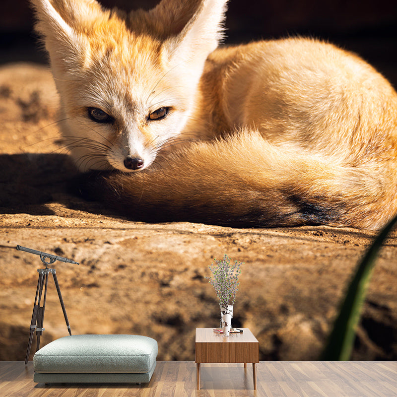 Zebra 3D Wallpaper Wild Animal Mural Horizontal Photography Sitting Room Wall Mural