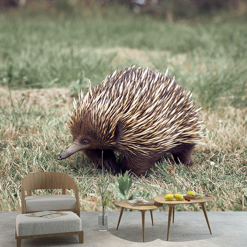 Zebra 3D Wallpaper Wild Animal Mural Horizontal Photography Sitting Room Wall Mural