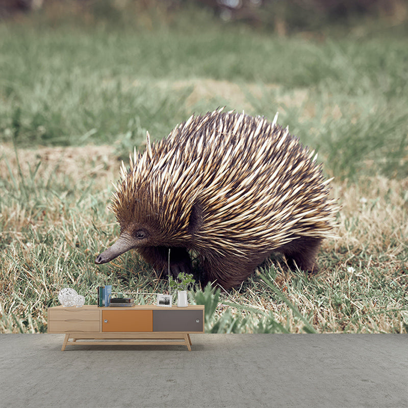 Zebra 3D Wallpaper Wild Animal Mural Horizontal Photography Sitting Room Wall Mural