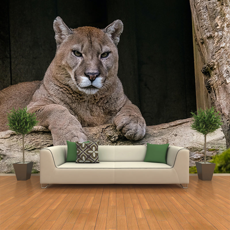 Wild Animal Contemporary Mural Horizontal Photography Bedroom Wall Mural