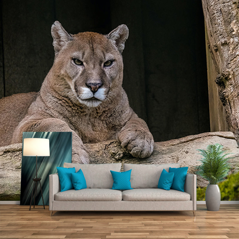 Wild Animal Contemporary Mural Horizontal Photography Bedroom Wall Mural