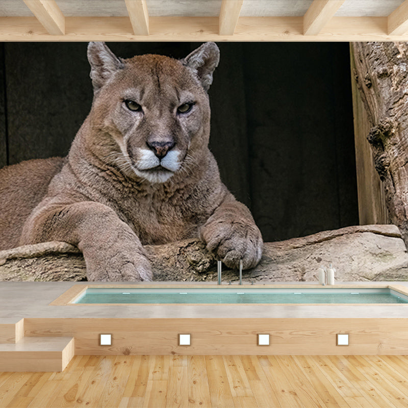 Wild Animal Contemporary Mural Horizontal Photography Bedroom Wall Mural