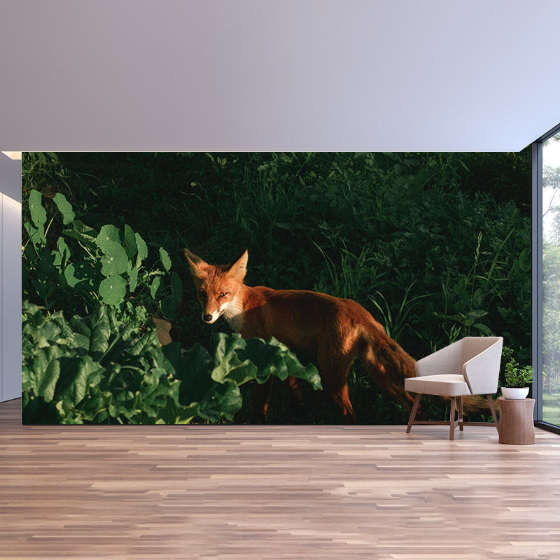 Wild Animal Contemporary Mural Horizontal Photography Bedroom Wall Mural