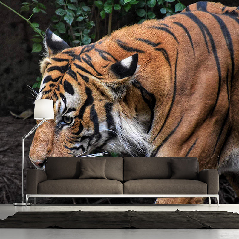 Natural Scene Contemporary Wild Animal Mural Horizontal Photography Bedroom Wall Mural