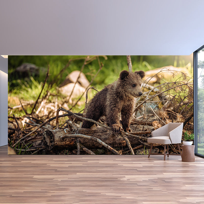 Wild Animal Contemporary Style Mural Horizontal Photography Living Room Wall Mural