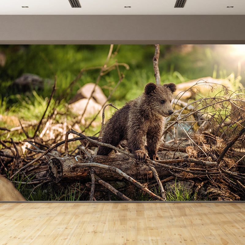 Wild Animal Contemporary Style Mural Horizontal Photography Living Room Wall Mural