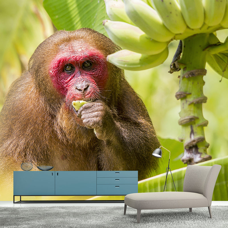 Wild Animal Contemporary Style Mural Horizontal Photography Living Room Wall Mural